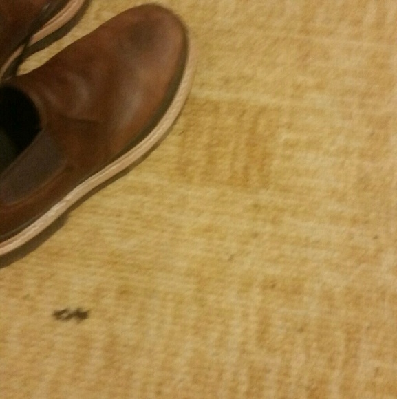 Meet your Posher, J jason - Picture 1 of 1